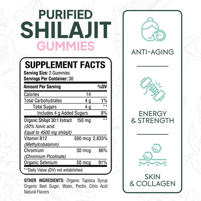 Organics Ocean Shilajit Gummies – Pumpkin Cocoa, 60 Gummies