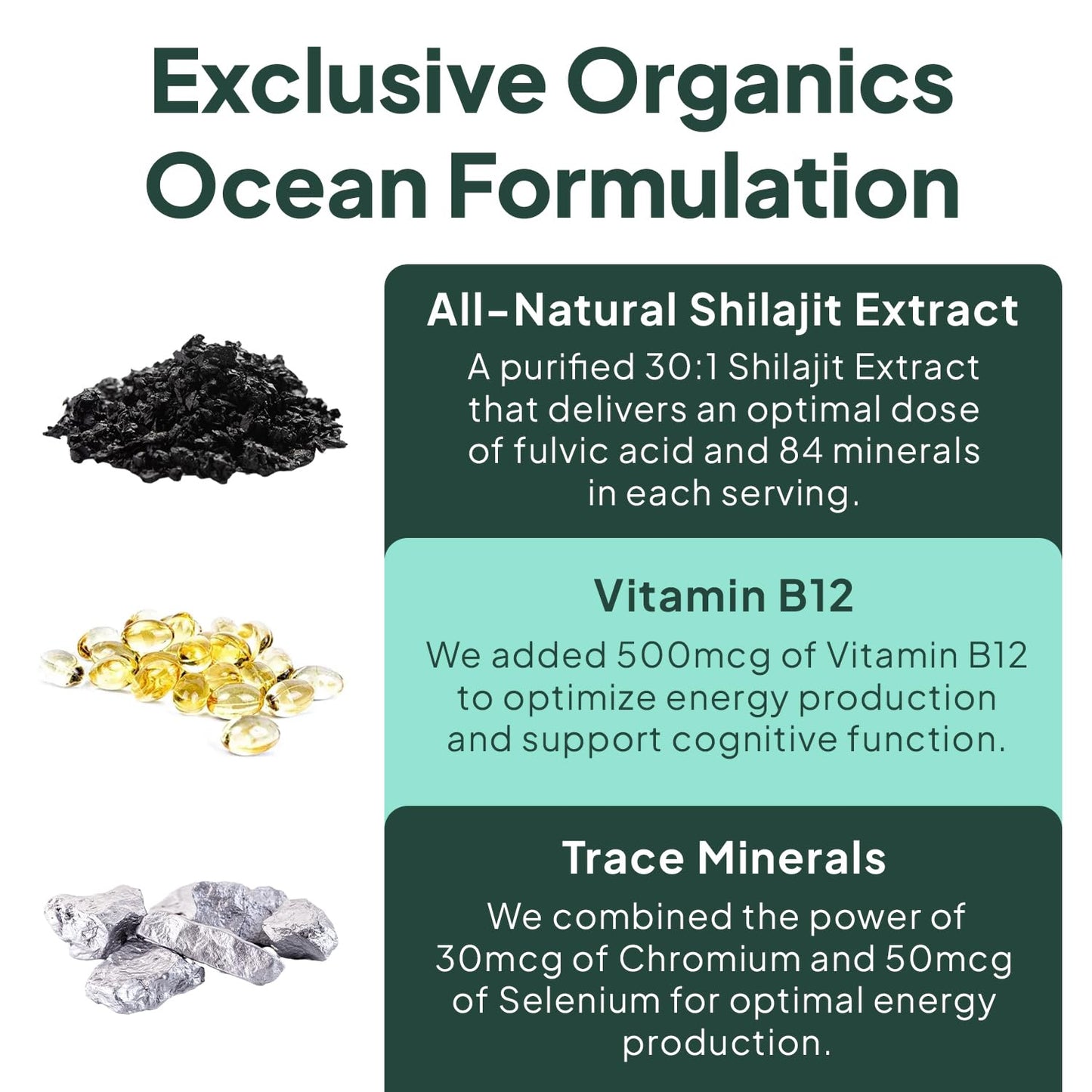 Organics Ocean Shilajit Gummies – Energy, Hormone Support & Skin Health (60 Gummies)