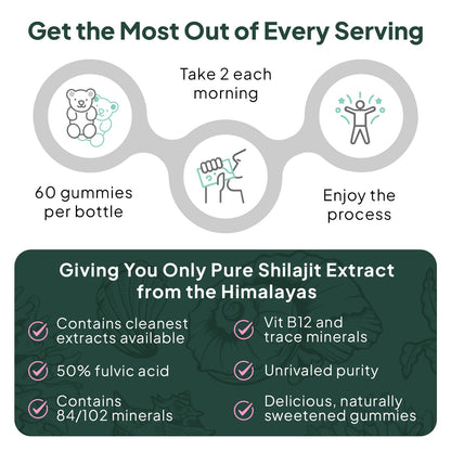 Organics Ocean Shilajit Gummies – Energy, Hormone Support & Skin Health (60 Gummies)