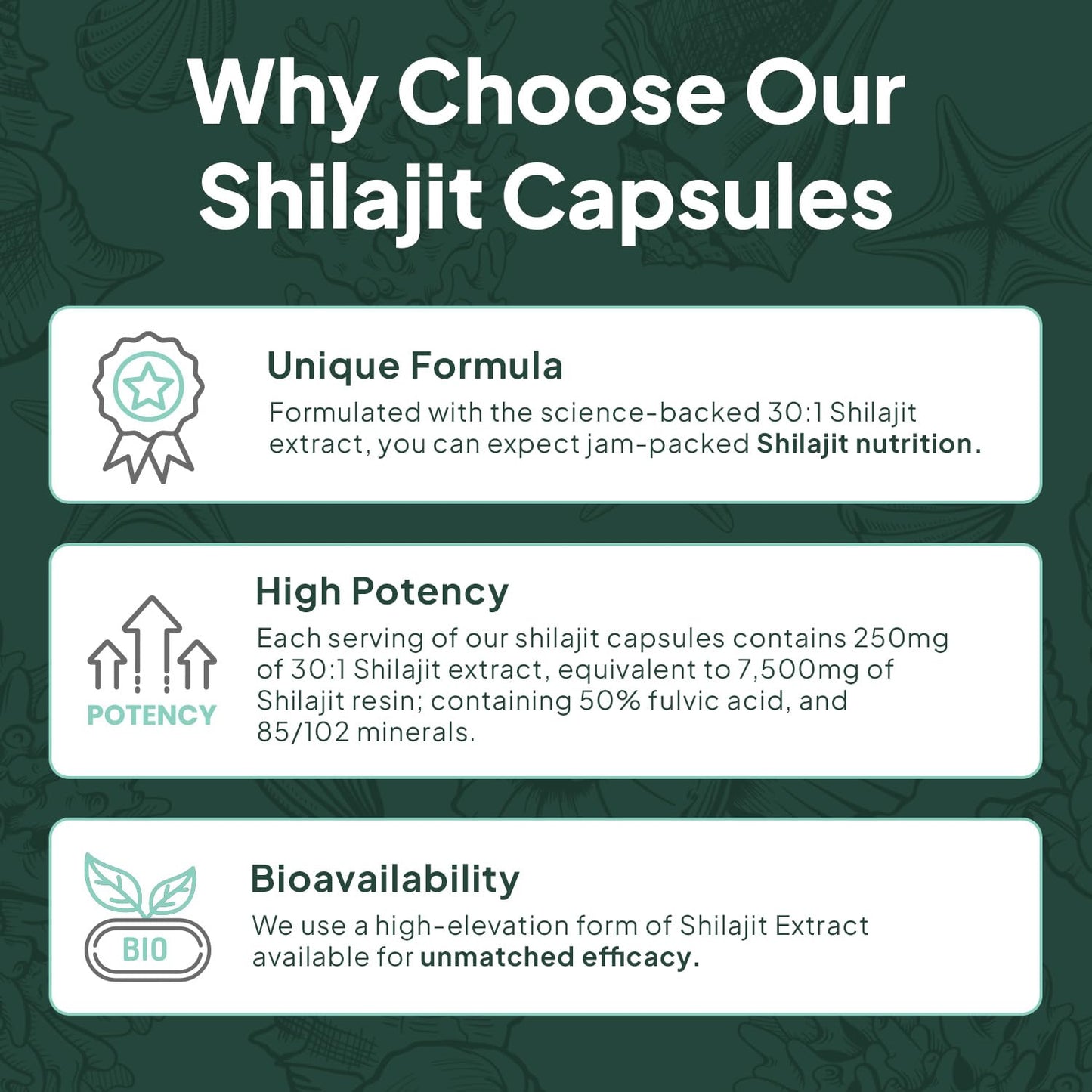 Organics Ocean One-Per-Day Shilajit Capsules – Himalayan Shilajit for Hormone Support – 6 Bottles