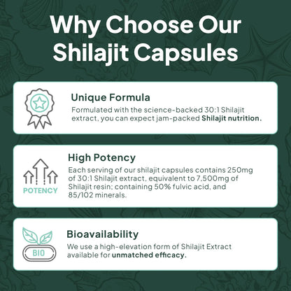 Organics Ocean One-Per-Day Shilajit Capsules – Himalayan Shilajit for Hormone Support – 6 Bottles