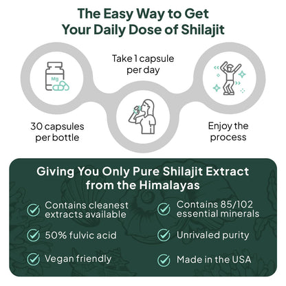 Organics Ocean One-Per-Day Shilajit Capsules – Himalayan Shilajit for Hormone Support – 6 Bottles