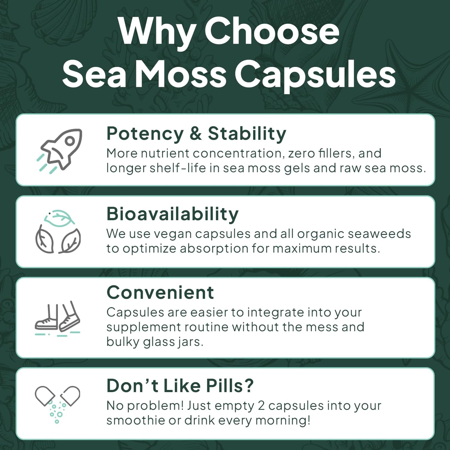 Organics Ocean Wild Sea Moss Capsules – Organic Irish Sea Moss, Chlorella, Bladderwrack & Vitamin D3 (3 Bottles)