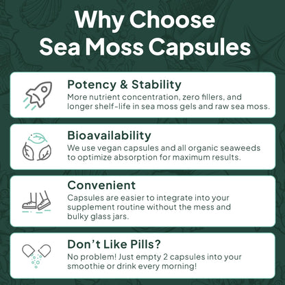 Organics Ocean Wild Sea Moss Capsules – Organic Irish Sea Moss, Chlorella, Bladderwrack & Vitamin D3 (3 Bottles)