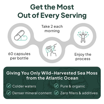 Organics Ocean Wild Sea Moss Capsules – Organic Irish Sea Moss, Chlorella, Bladderwrack & Vitamin D3 (3 Bottles)