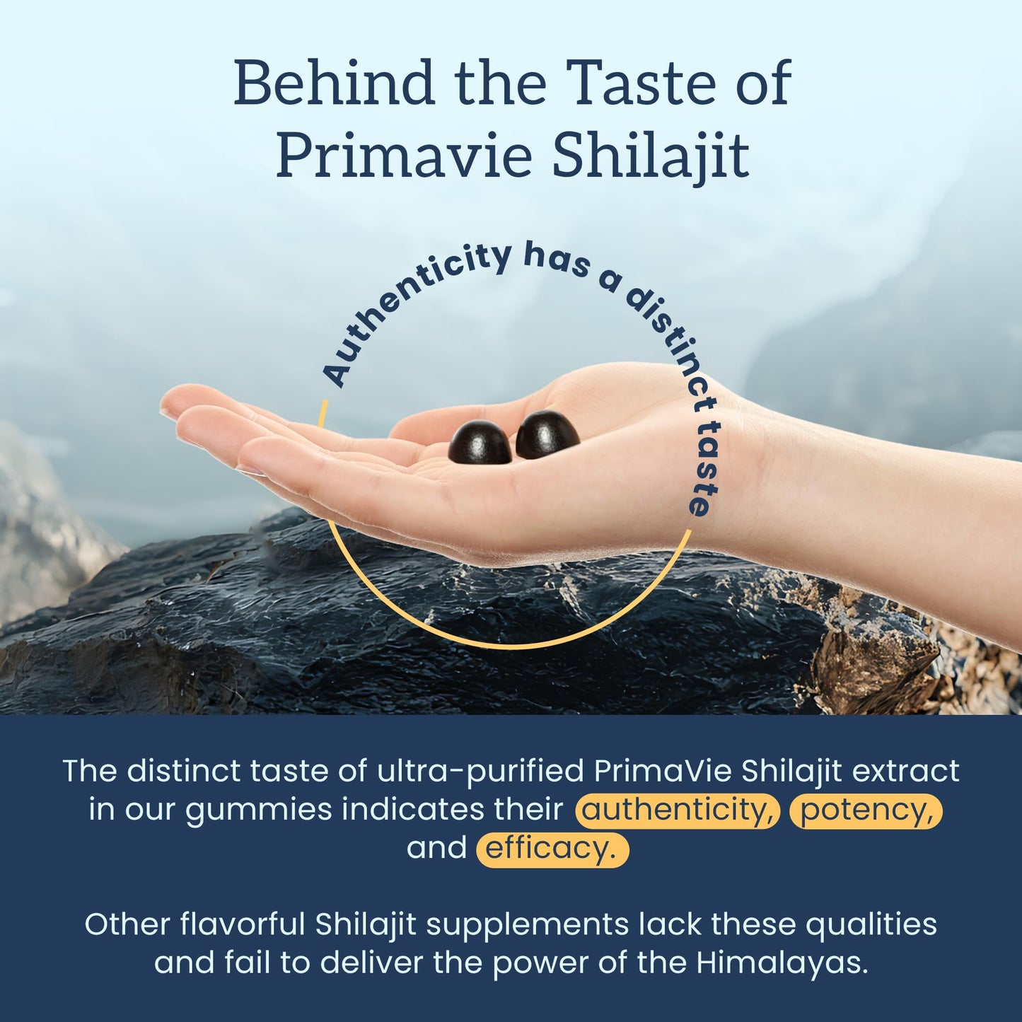 Organifi Shilajit Gummies – Himalayan PrimaVie Shilajit, 60 Count