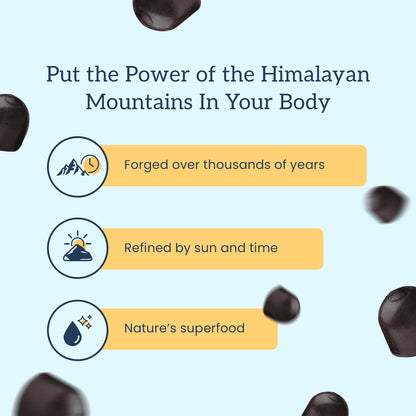 Organifi Shilajit Gummies – Himalayan PrimaVie Shilajit, 60 Count