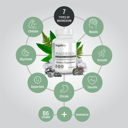 Organixx Magnesium 7 Supplement — Sleep Support & Muscle Recovery (3-Pack)