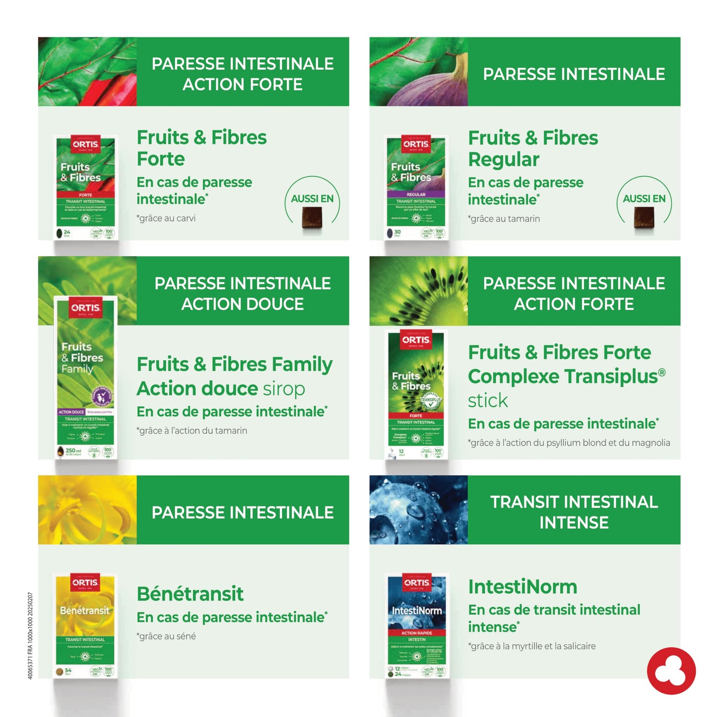Ortis Fruits & Fibres Regular 45 Squares to Chew – Nutritional Supplement