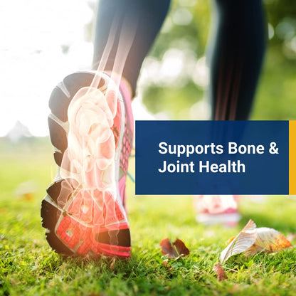 ZYCAL Ostinol Maximum Strength 450mg – Bone & Joint Support | Stem Cell Activation Certified | 30 Capsules
