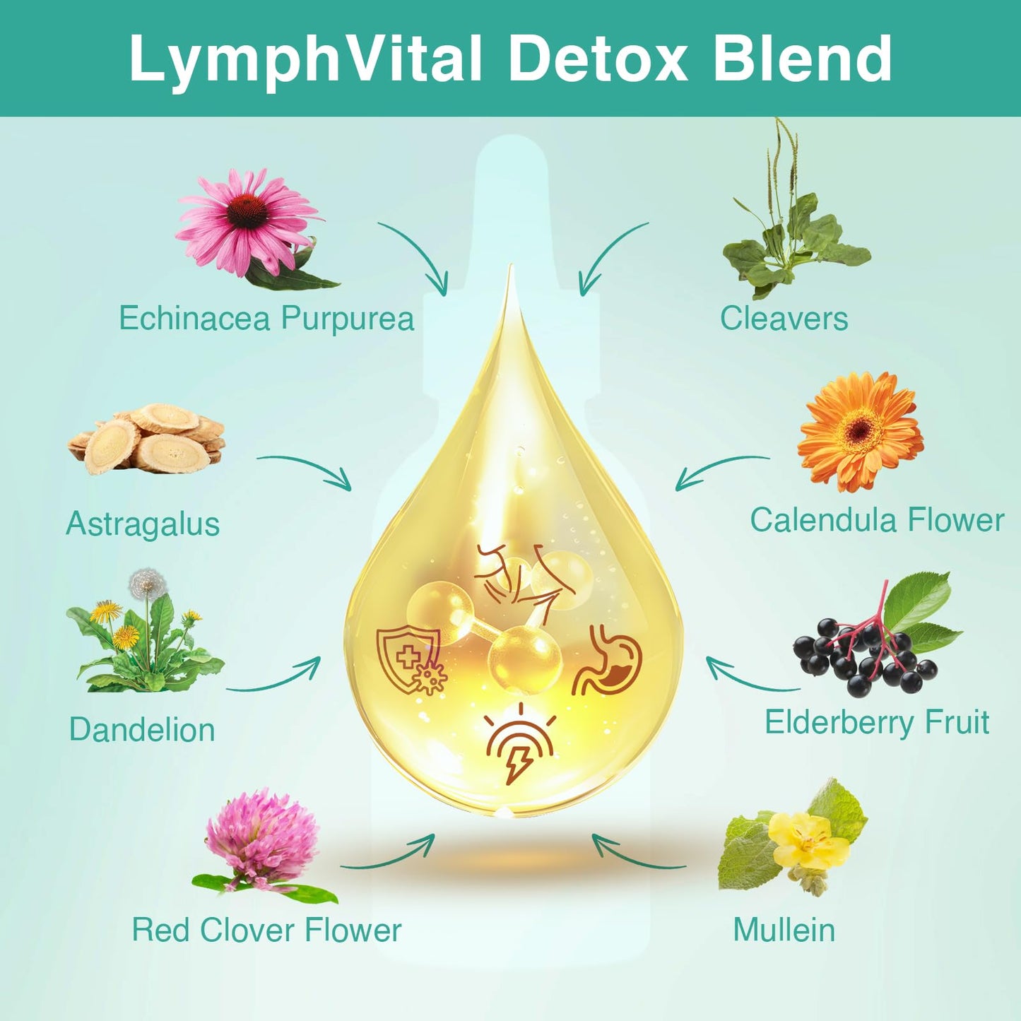oweGel Liposomal Lymphatic Drops – Alcohol-Free, Sugar-Free, 4 fl oz