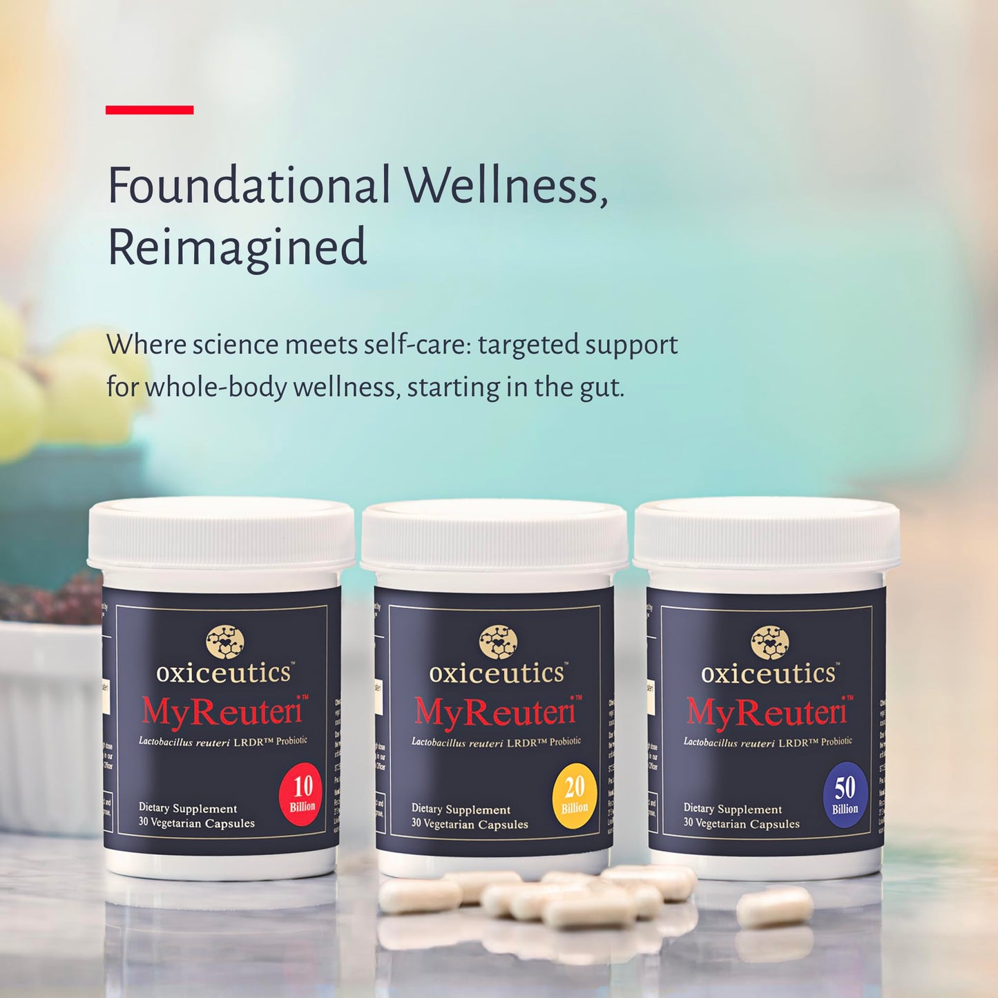 oxiceutics MyReuteri 10 Billion CFU Probiotic – Yogurt-Style Starter + FOS Prebiotic by Dr. William Davis