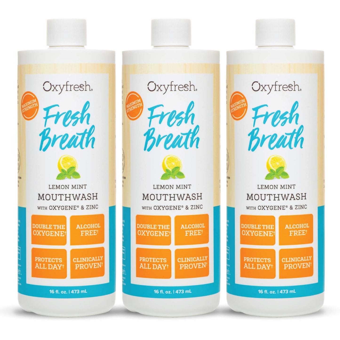 Oxyfresh Lemon Mint Fresh Breath Mouthwash – SLS & Fluoride Free, Alcohol Free – 16 Fl Oz (Pack of 3)