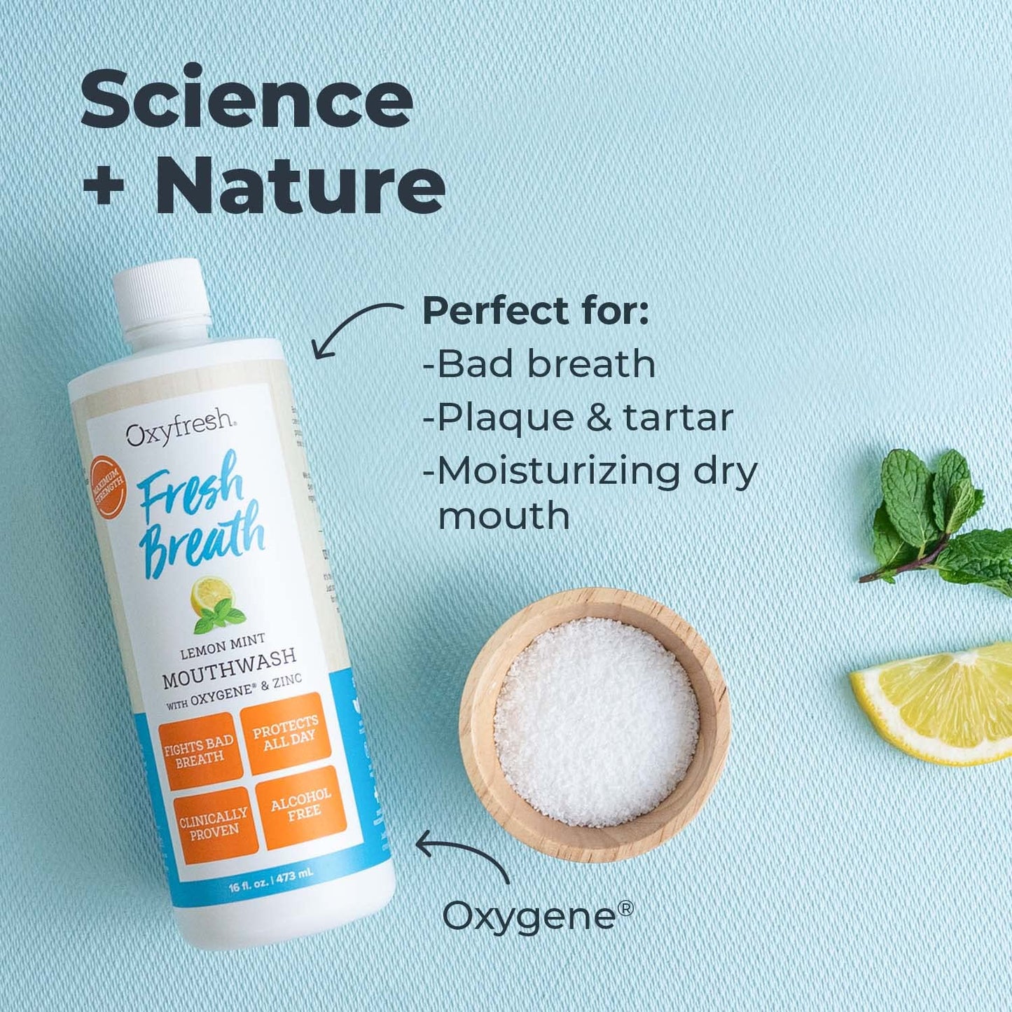 Oxyfresh Lemon Mint Mouthwash – SLS & Fluoride Free, Alcohol Free | 16 Fl Oz