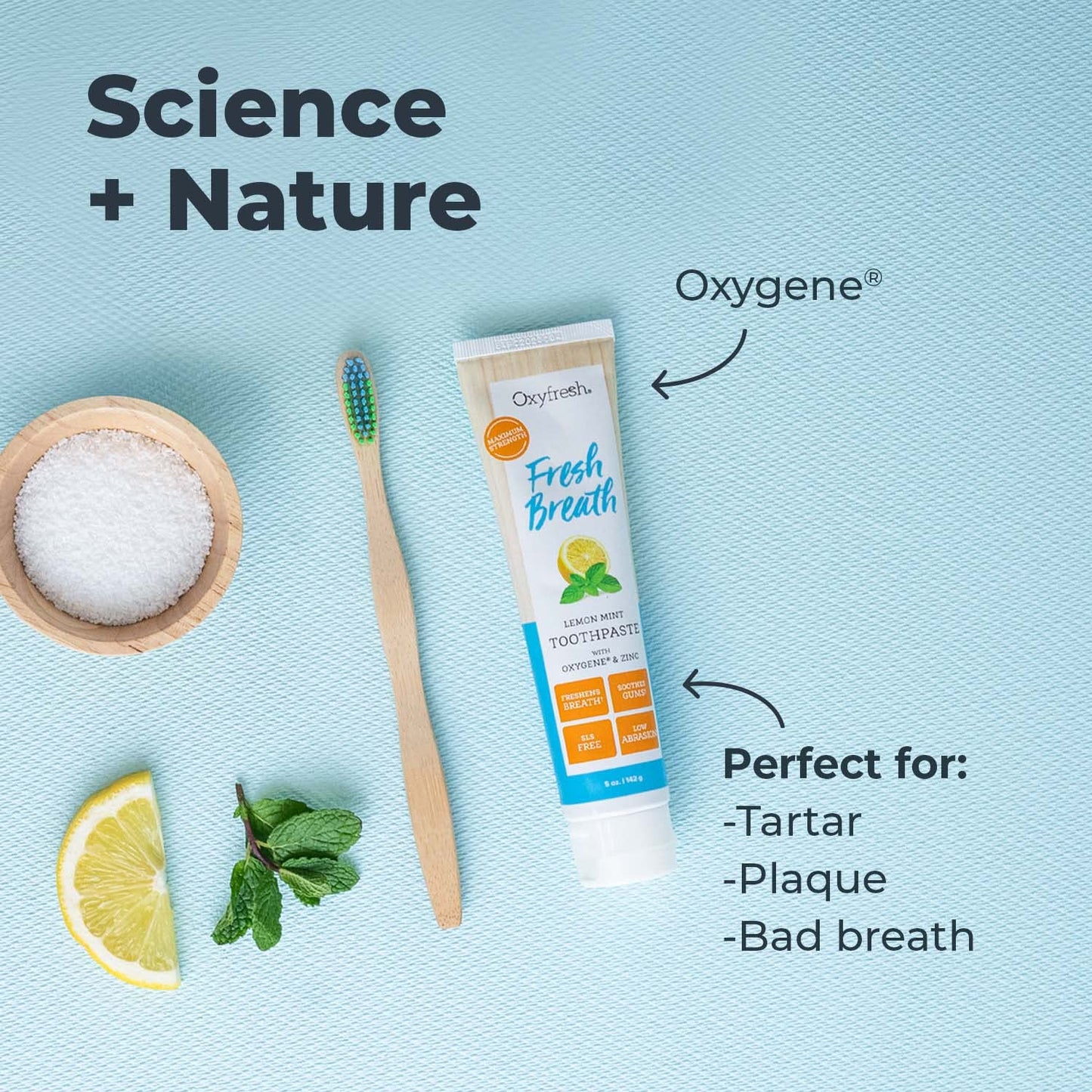 Oxyfresh Premium Lemon Mint Fresh Breath Toothpaste – SLS & Fluoride Free, Low Abrasion, 5oz Pack of 2