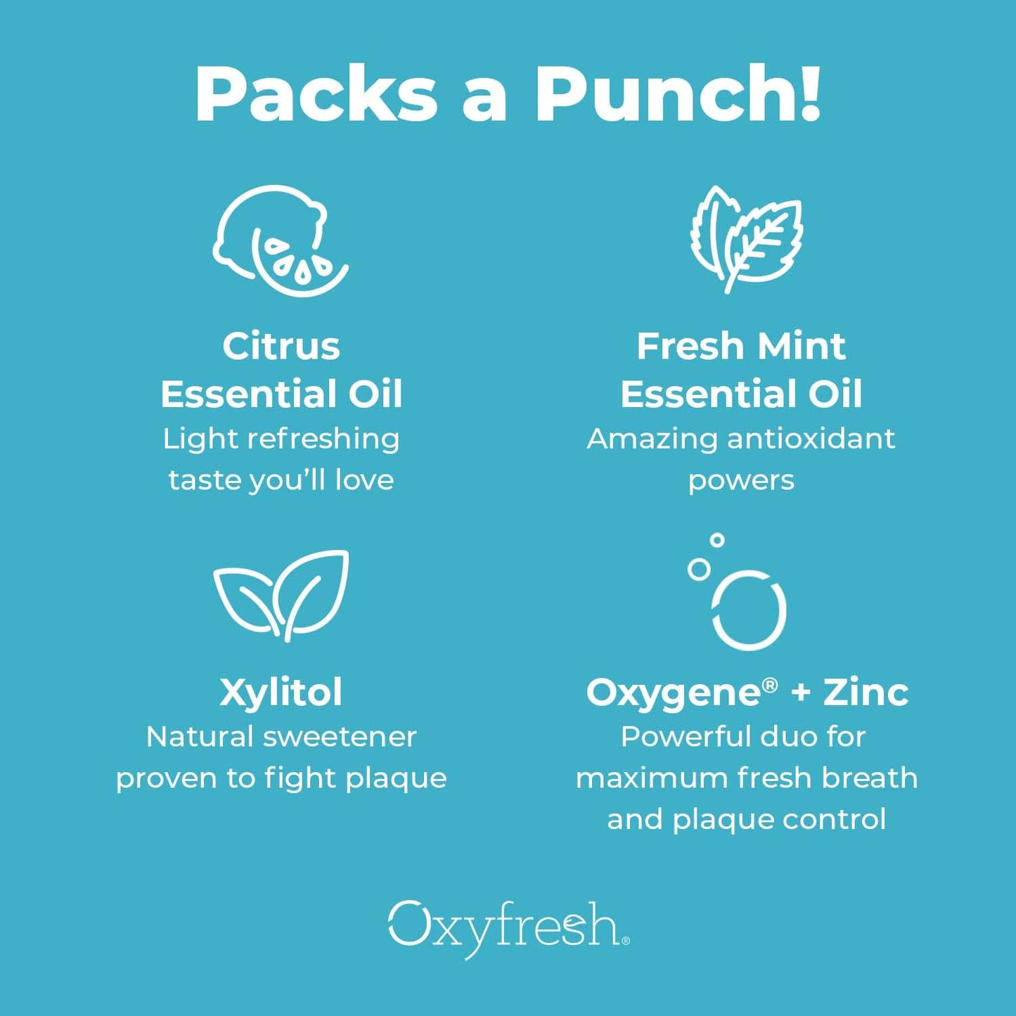 Oxyfresh Maximum Fresh Breath Lemon Mint Toothpaste - Clean Teeth & Fresh Breath - SLS & Fluoride Free - 5 oz