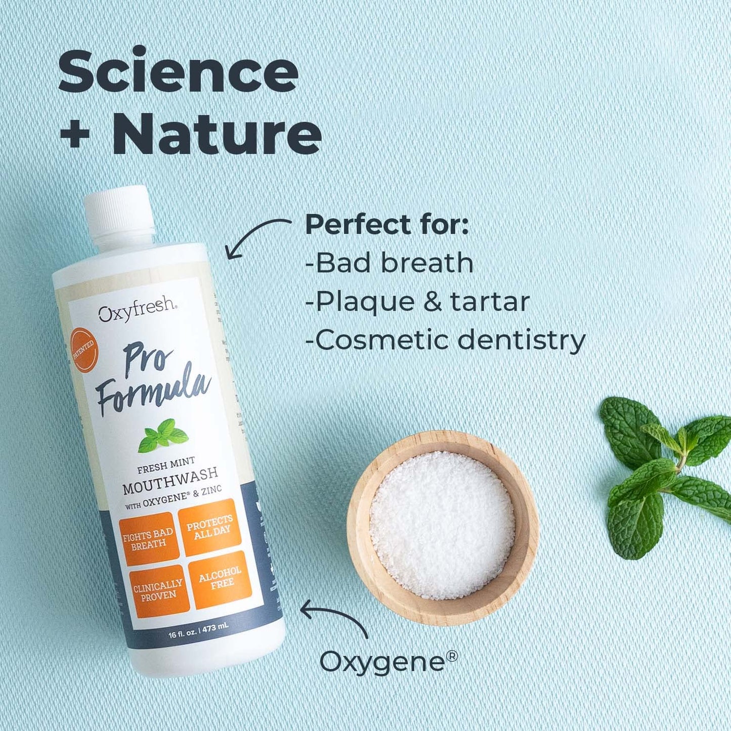 Oxyfresh Pro Formula Fresh Mint Mouthwash – Patented Zinc Mouthrinse, Dye & Alcohol Free (16 oz)