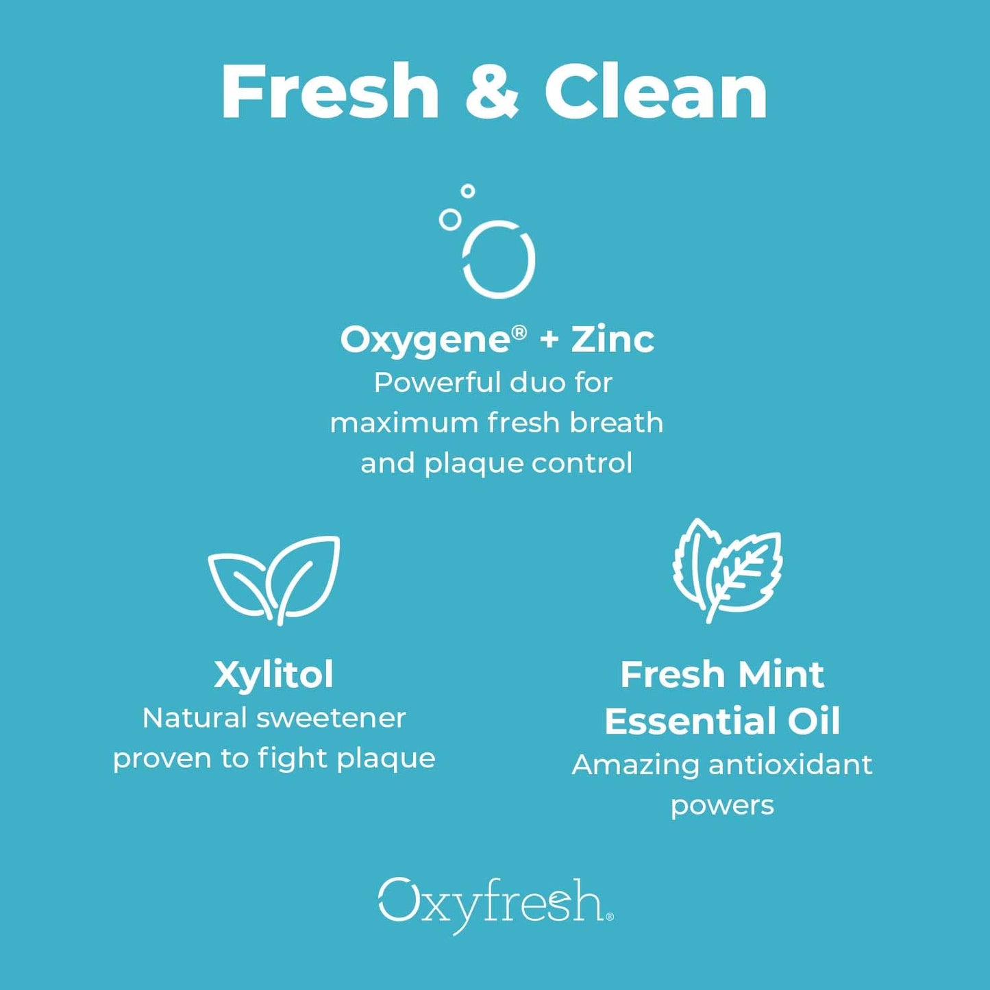 Oxyfresh Pro Formula Fresh Mint Mouthwash – Patented Zinc Mouthrinse for Fresh Breath, Healthy Gums & 1 Gal Dye/Fluoride/Alcohol Free