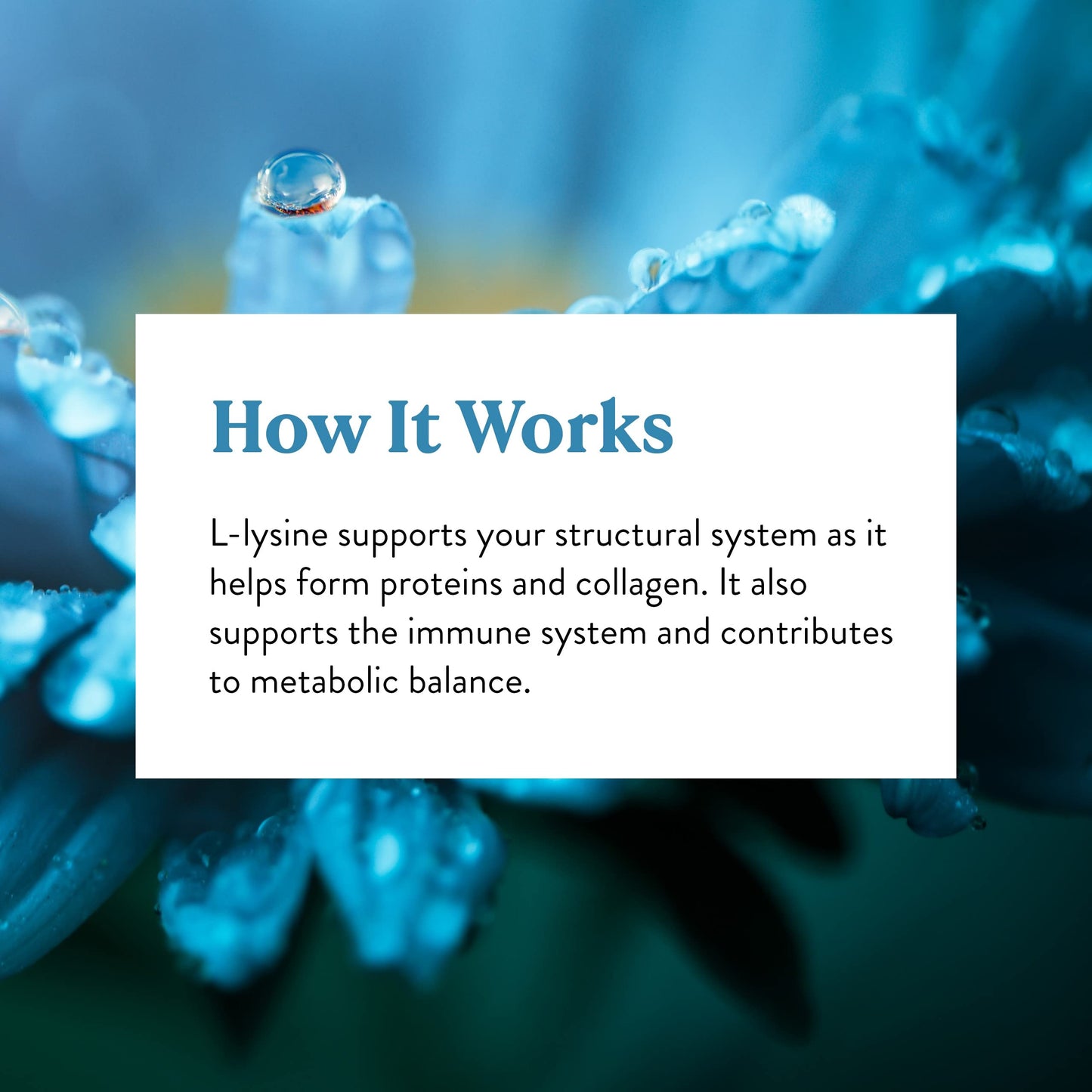 L-Lysine 100 Capsules - Nature's Sunshine | Essential Amino Acids (474 mg L-Lysine HCl)