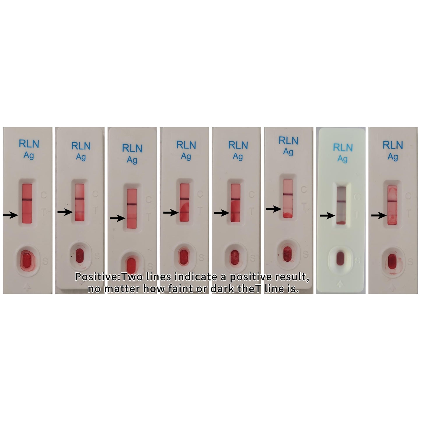 Dog Pregnancy Test Kit at Home - No Blood Draw, 5-Min Results, 98% Reliable