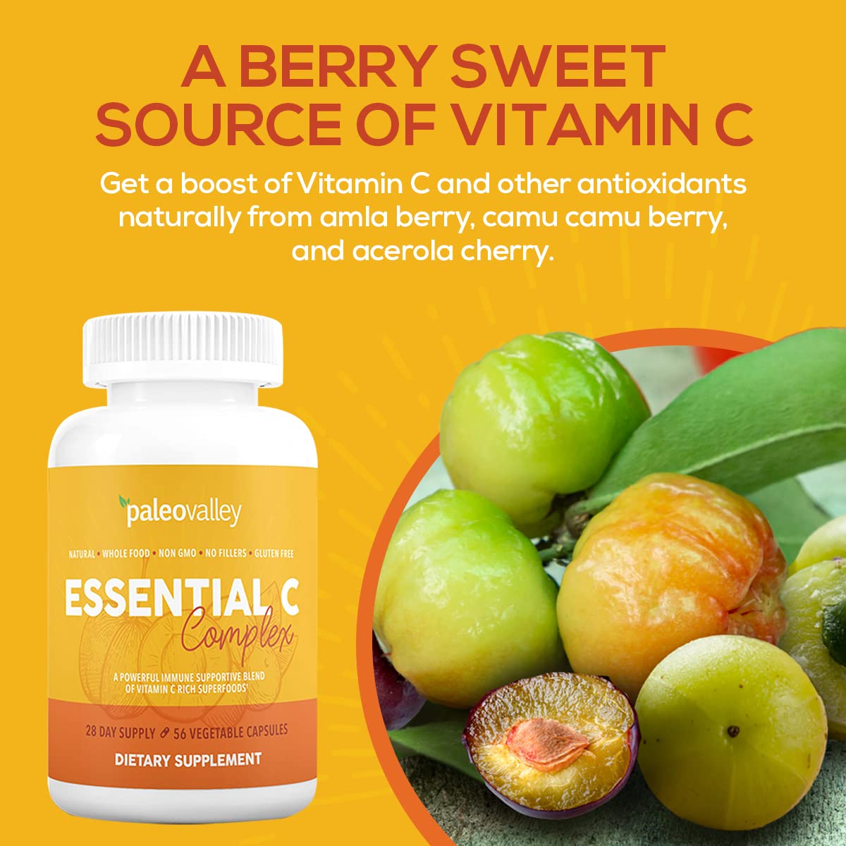 Paleovalley Essential C Complex – Organic Vitamin C from Acerola, Camu Camu & Amla – USA Made