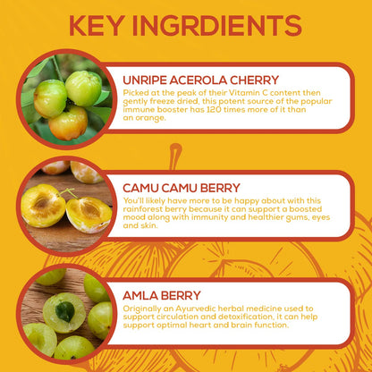 Paleovalley Essential C Complex – Organic Vitamin C from Acerola, Camu Camu & Amla – USA Made