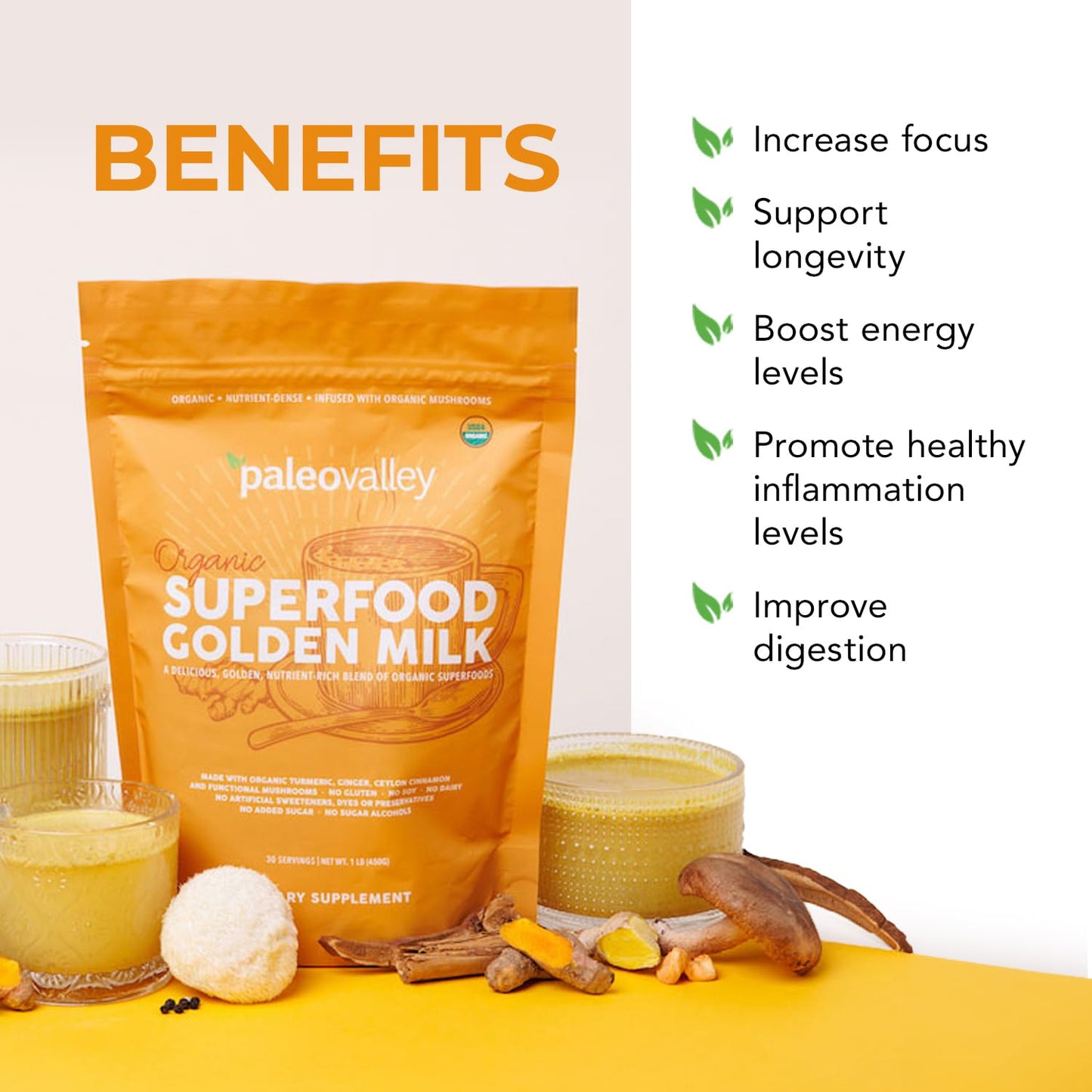 Paleovalley Organic Superfood Golden Milk — Turmeric, Whole Mushroom Blend & MCT Coconut Milk, 30 Servings