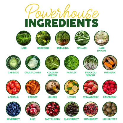 Paleovalley Organic Supergreens Powder - 23 Superfoods, No Cereal Grasses, 30 Servings
