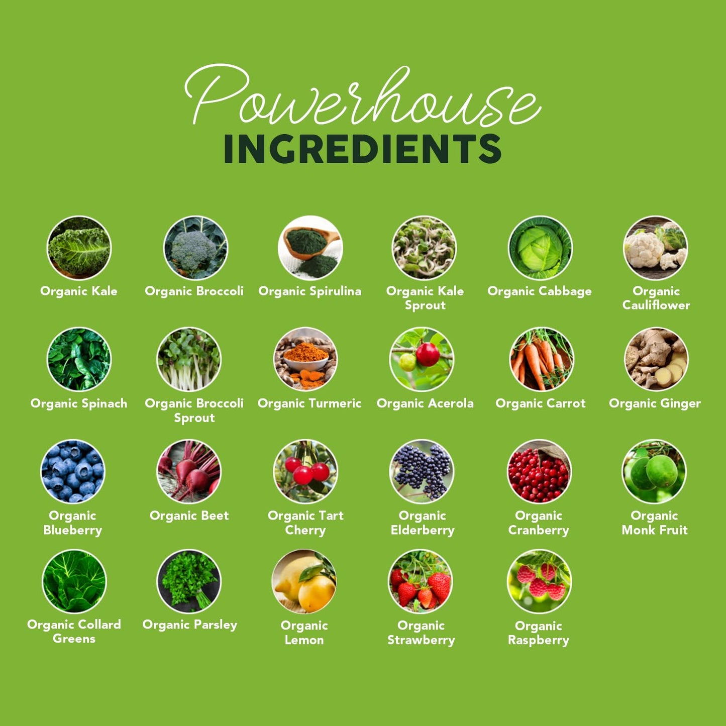 Paleovalley Organic Supergreens Powder - 23 Superfoods, No Cereal Grasses, 30 Servings