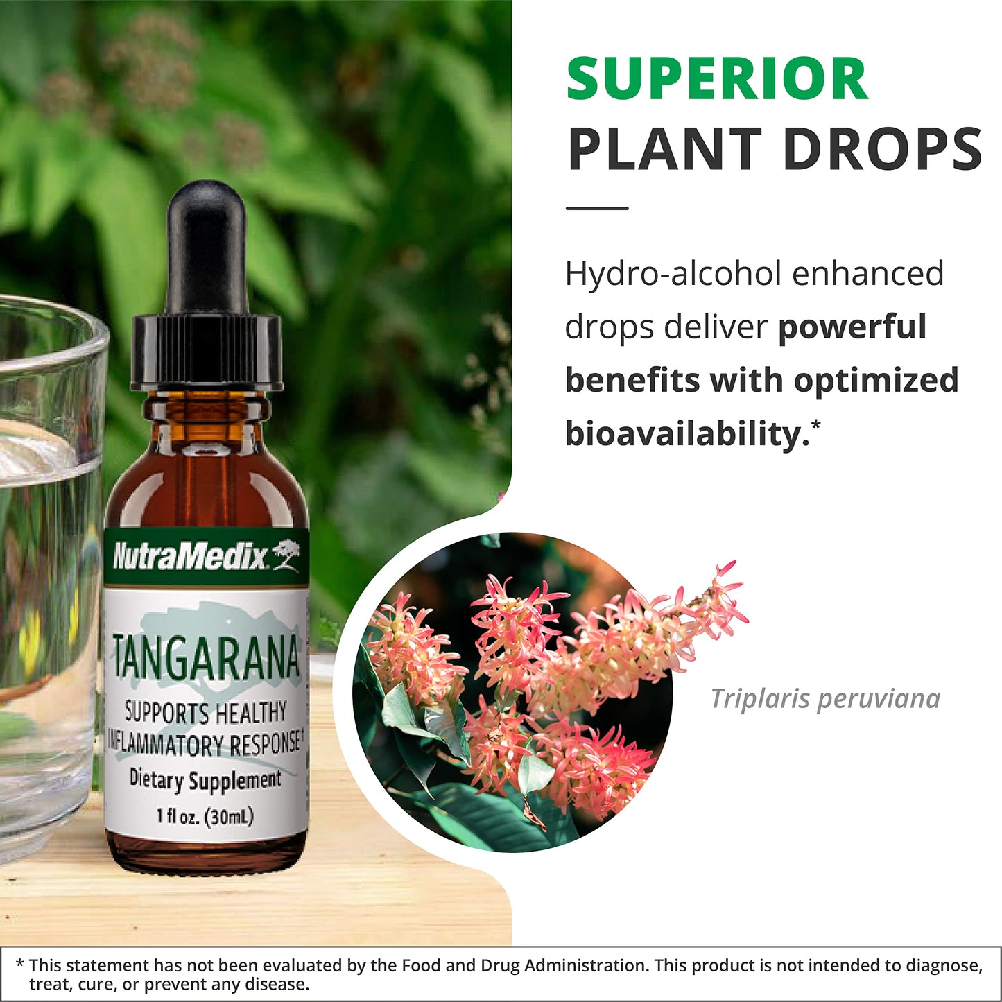 NutraMedix Tangarana Drops - Palo Santo Extract for Inflammatory Support (1oz/30ml)