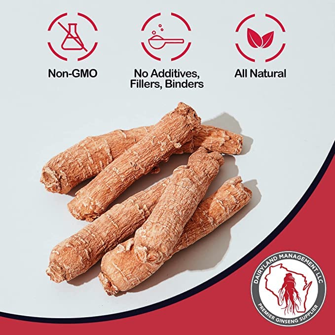 Red Panax Ginseng Powder (8 oz) – 10% Ginsenosides, Energy & Mood | Dairyland