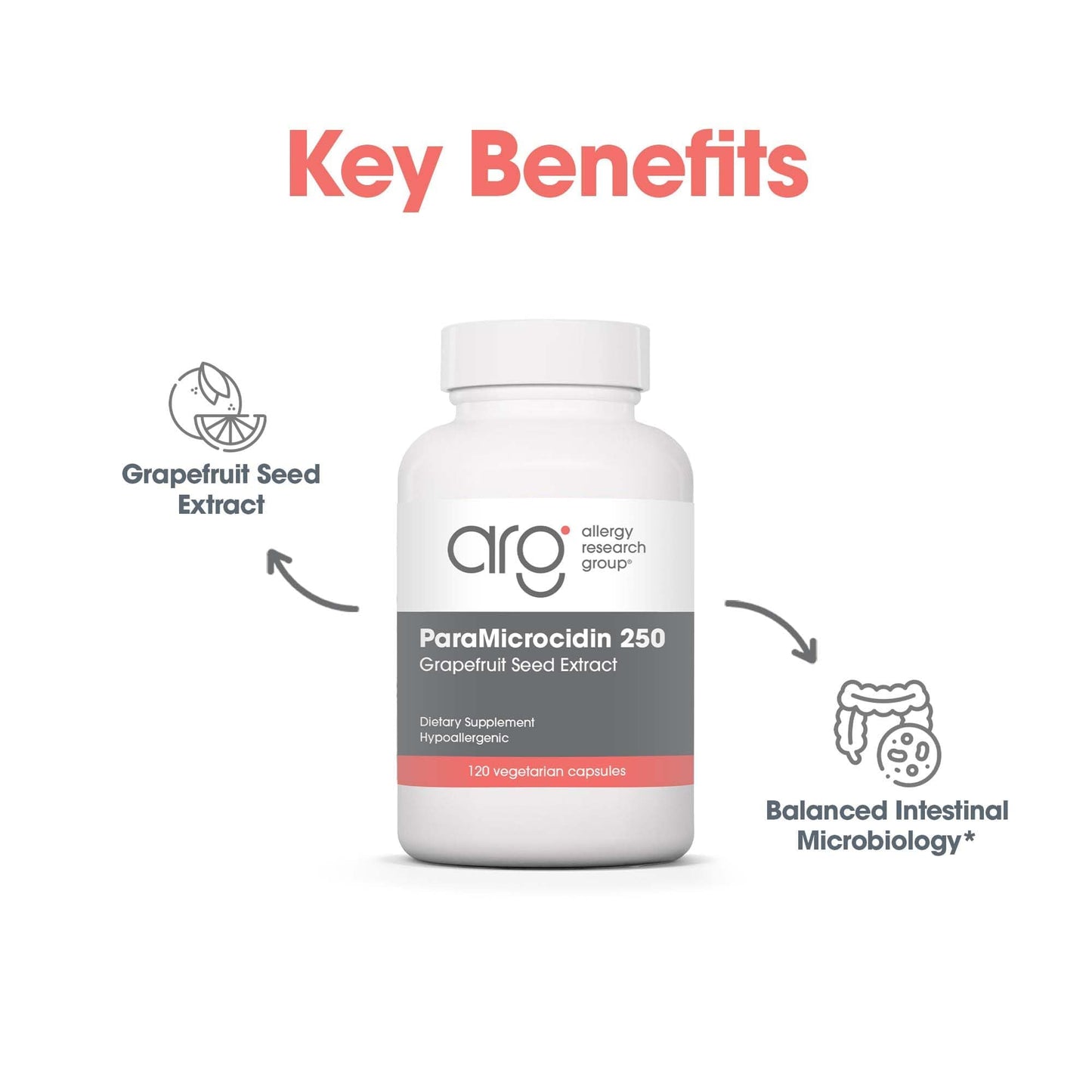 ParaMicrocidin 250 Supplement by Allergy Research Group - 120 Count