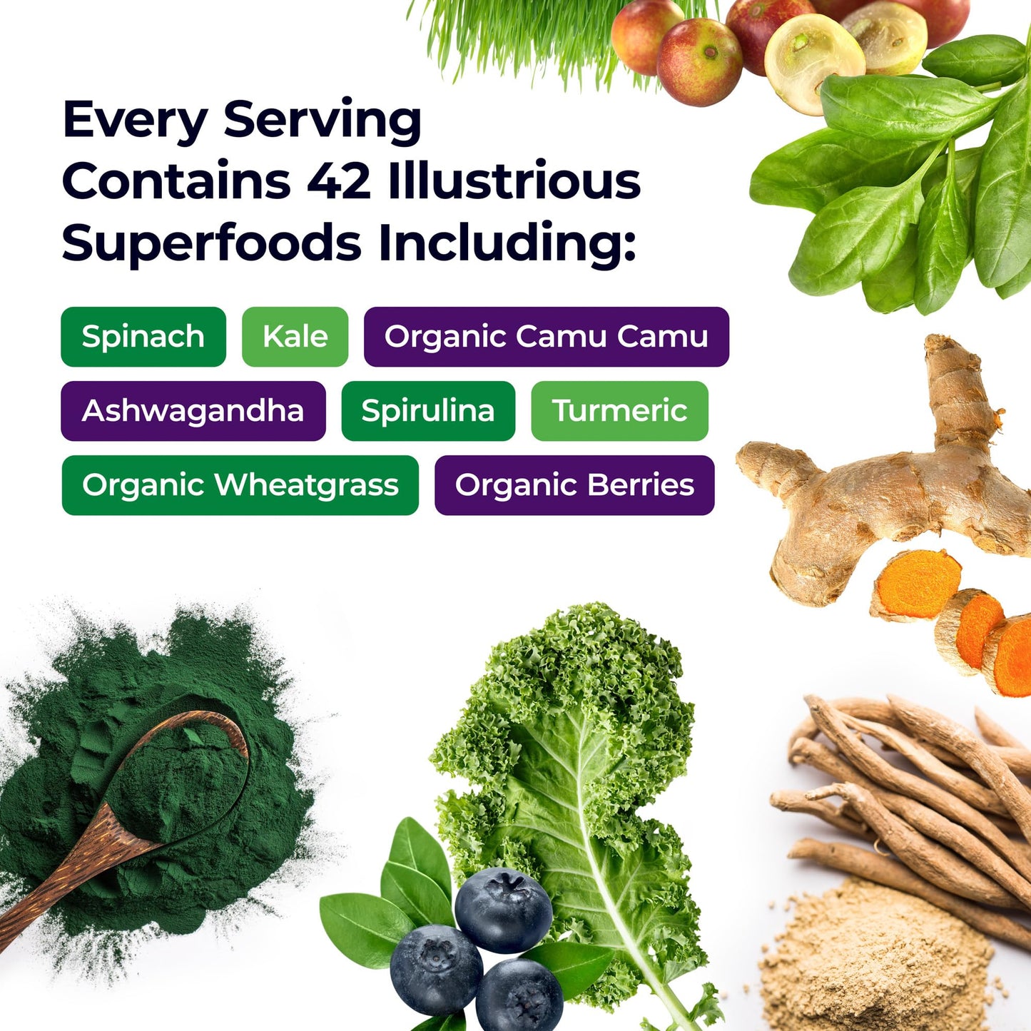 Paradise Herbs ORAC Energy Greens Powder Extract | Super Antioxidants & Probiotics for Gut Health | 60 Servings
