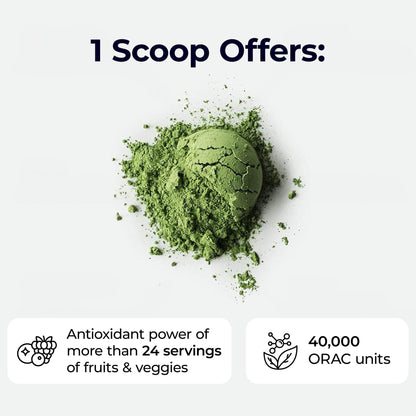 Paradise Herbs ORAC Energy Greens Powder Extract | Super Antioxidants & Probiotics for Gut Health | 60 Servings