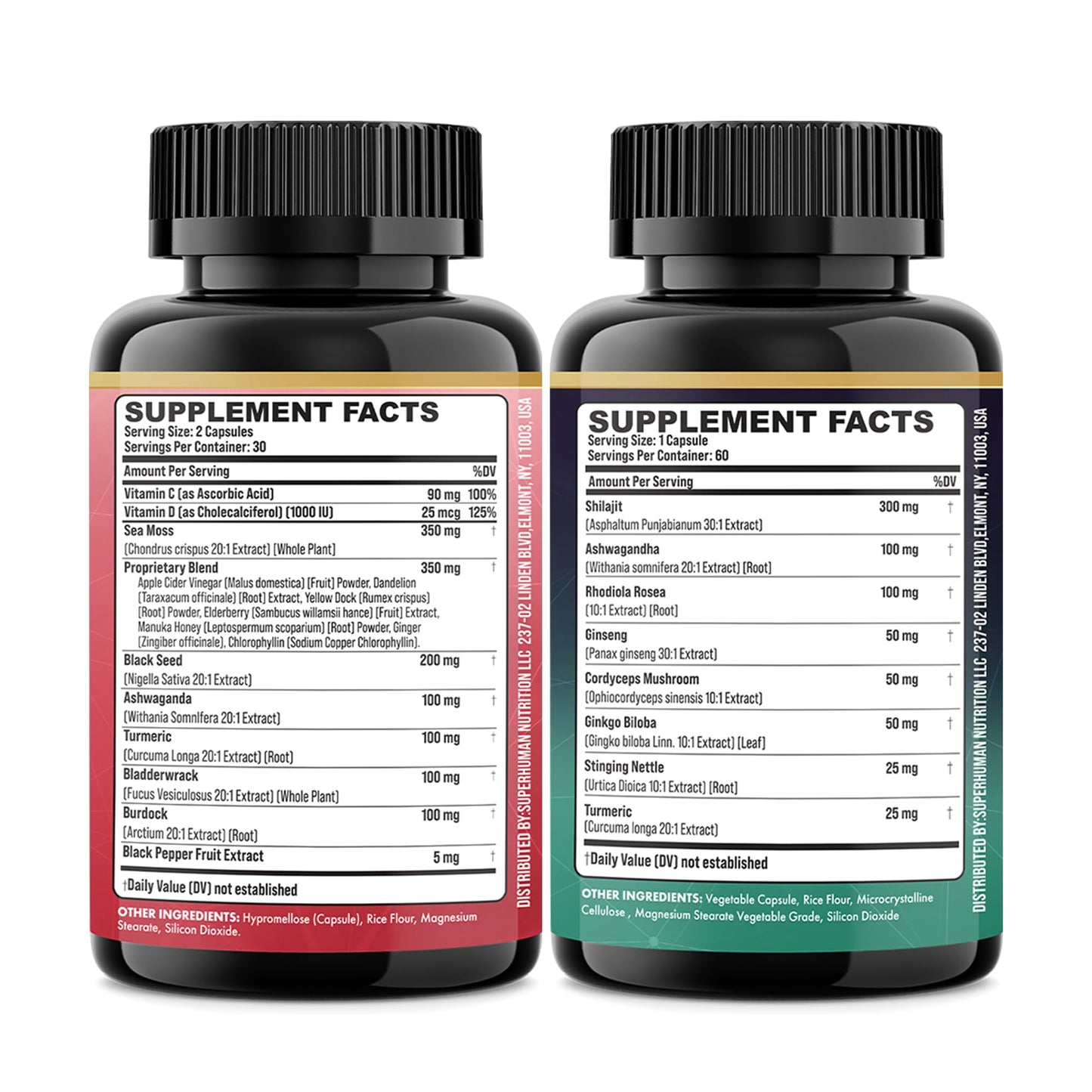Parrox Dynamic Duo Herbal Bundle – Ginger & Rhodiola Capsules (3 Pack)