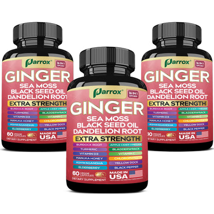 Parrox Ginger 16-in-1 Formula – 3 Pack | Ginger, Turmeric, Sea Moss & More