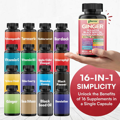Parrox Ginger 16-in-1 Formula – 3 Pack | Ginger, Turmeric, Sea Moss & More