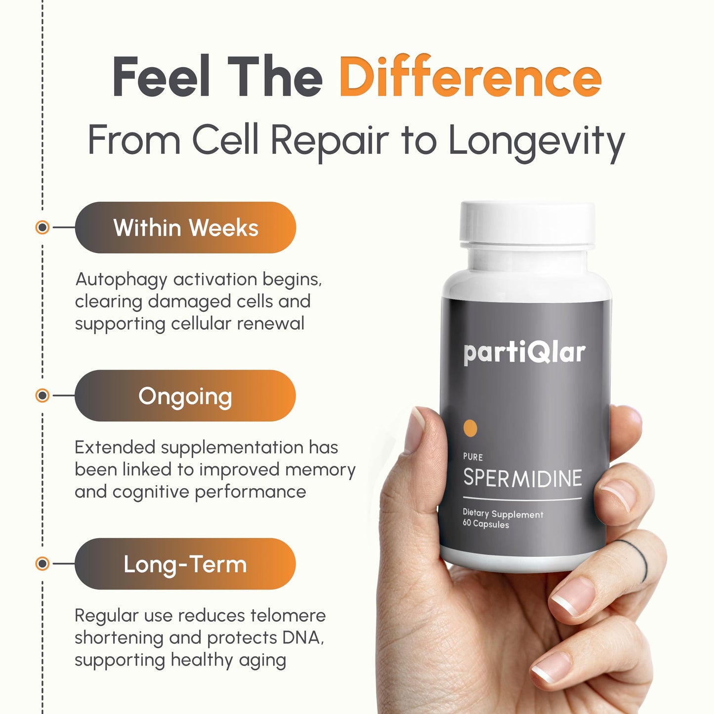 partiQlar Spermidine Supplement – 99% Purity, 8 mg per Capsule, 60 Capsules – Made in USA