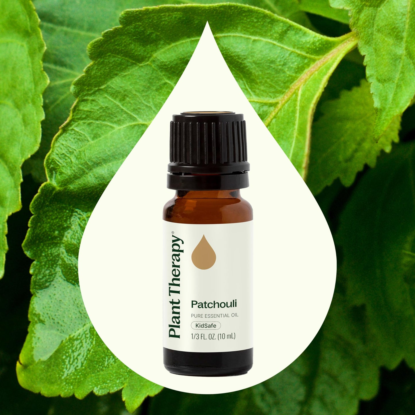 Plant Therapy Patchouli Essential Oil 100% Pure — Therapeutic Grade, 10 mL