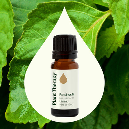 Plant Therapy Patchouli Essential Oil 100% Pure — Therapeutic Grade, 10 mL