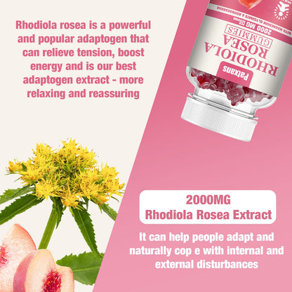 1 Pack 2000MG Rhodiola Rosea Gummies – Endurance, Mood & Stress Support | Patxans