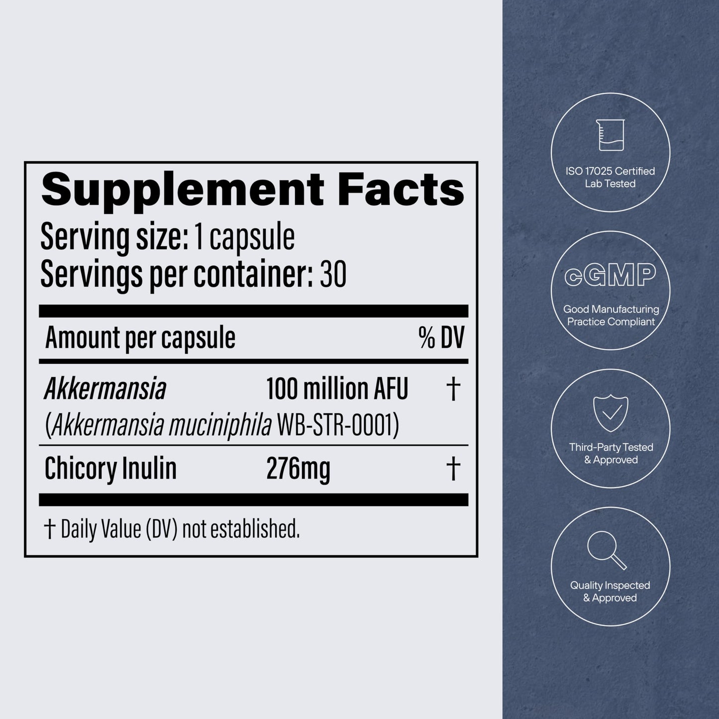 Pendulum Akkermansia Probiotic with Prebiotic Fiber – Delayed-Release Capsules | 100M AFU Live Strain for Gut Health & GLP-1 Support (90 Capsules)