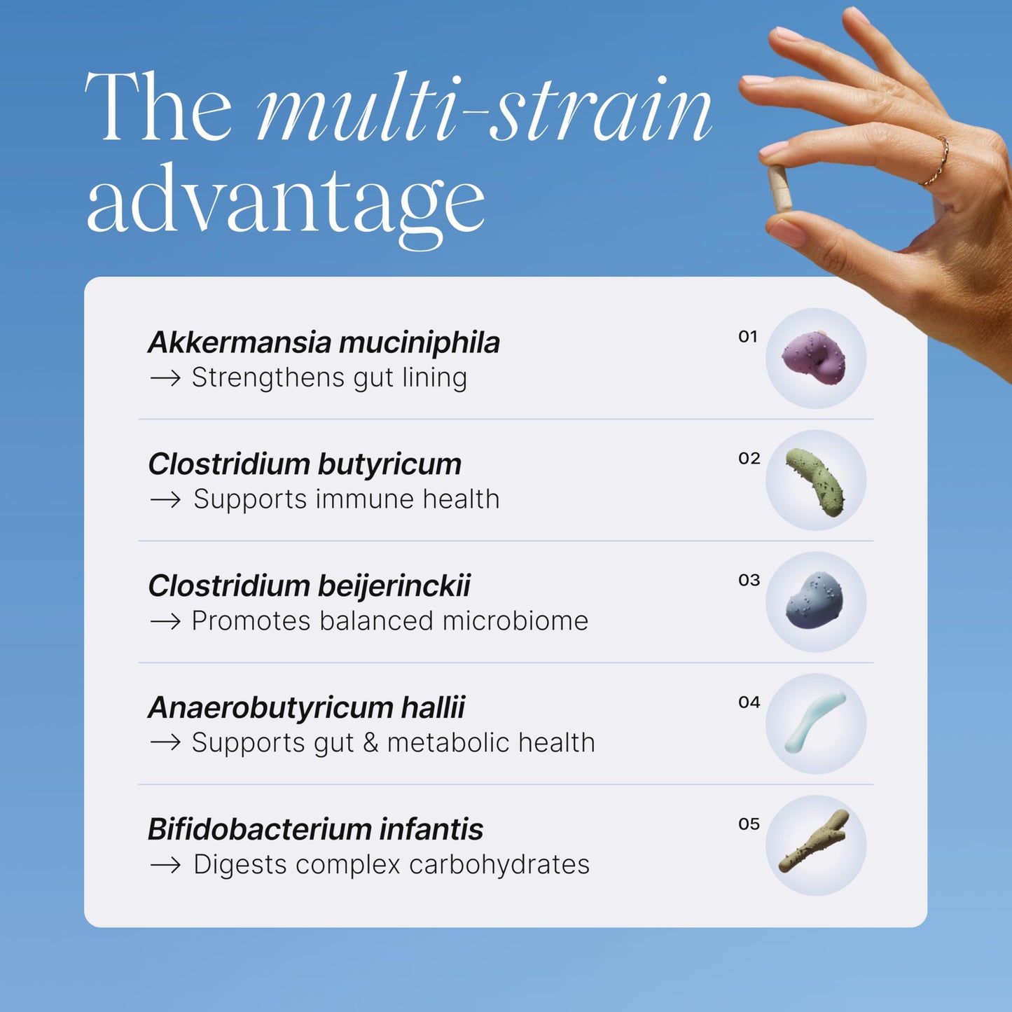 Pendulum Metabolic Daily – Multi-Strain Probiotic with Akkermansia muciniphila | Metabolism & Energy | 90 Capsules