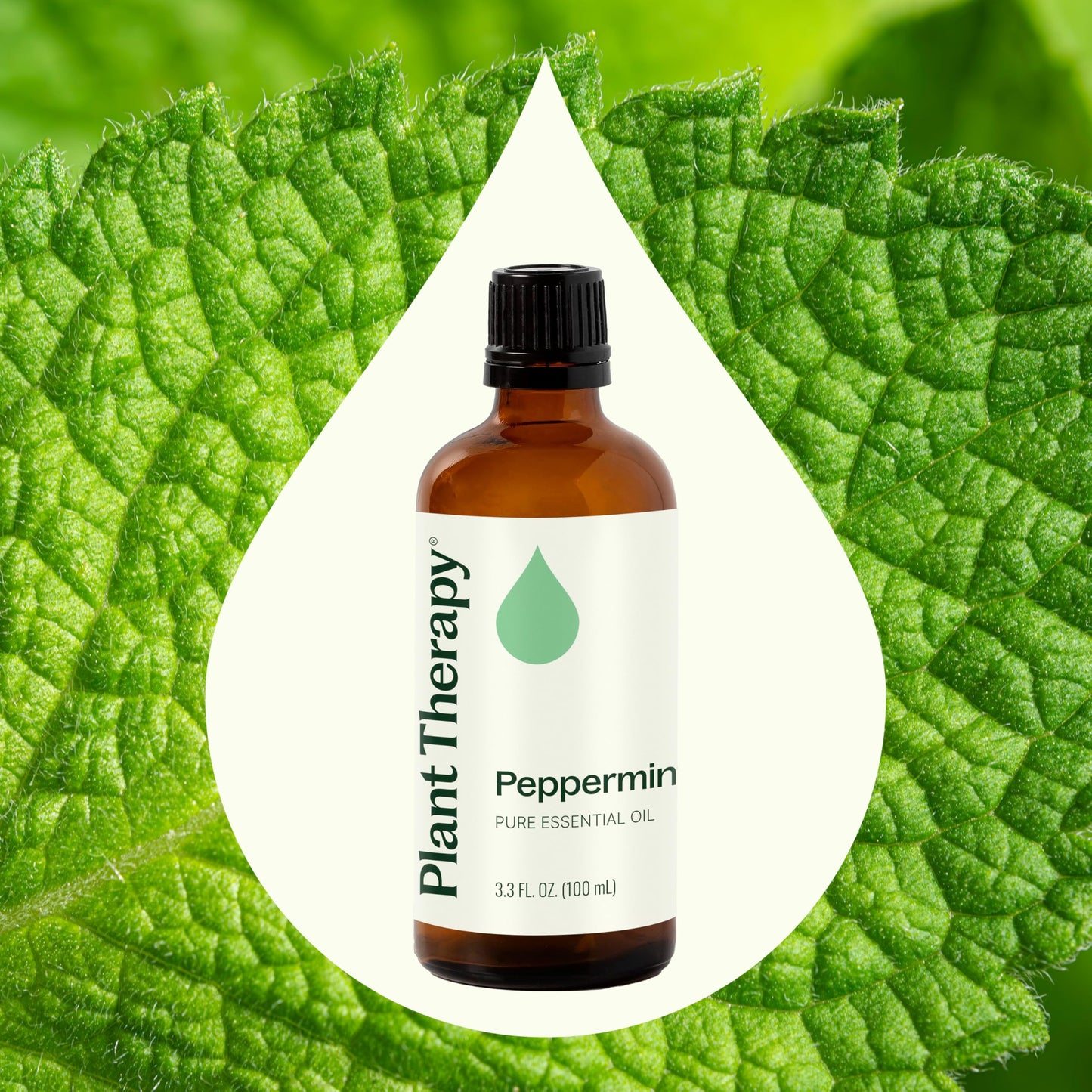 Plant Therapy Peppermint Essential Oil 100 mL – 100% Pure, Undiluted
