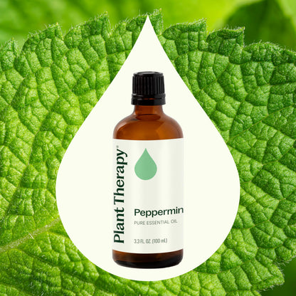 Plant Therapy Peppermint Essential Oil 100 mL – 100% Pure, Undiluted
