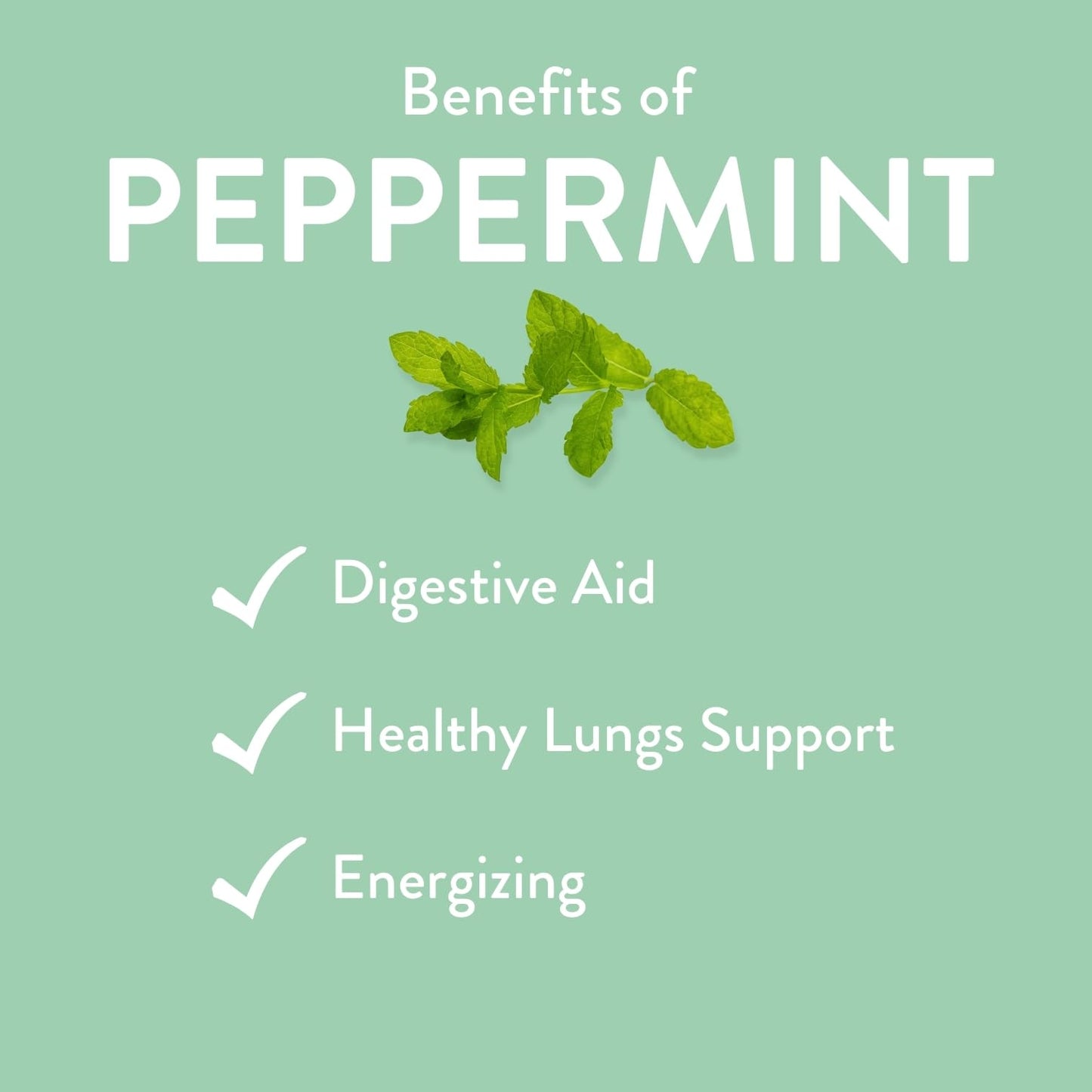 Peppermint Essential Oil – 100% Pure Therapeutic Grade | Revive Essential Oils