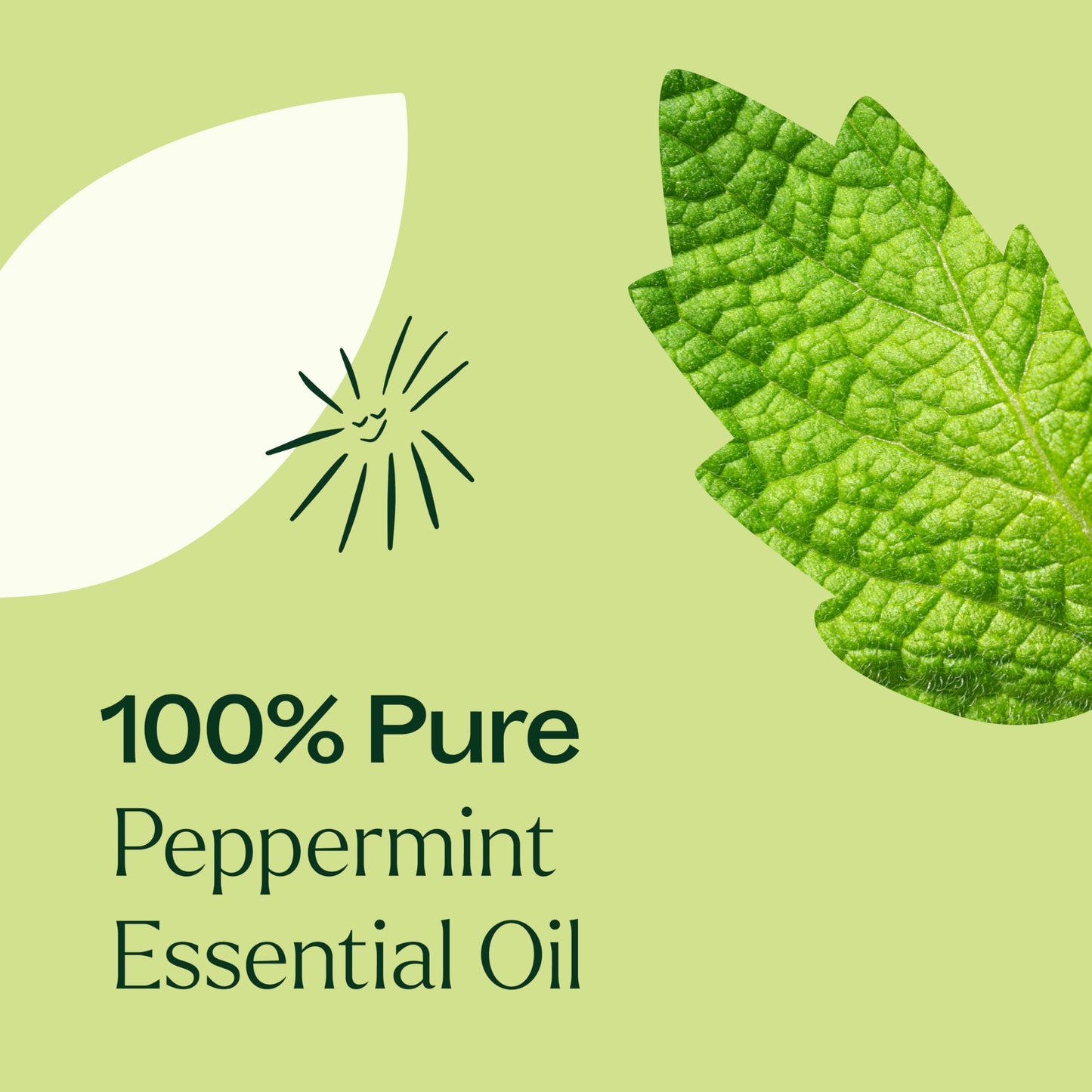 Plant Therapy Peppermint Essential Oil 100 mL – 100% Pure, Undiluted