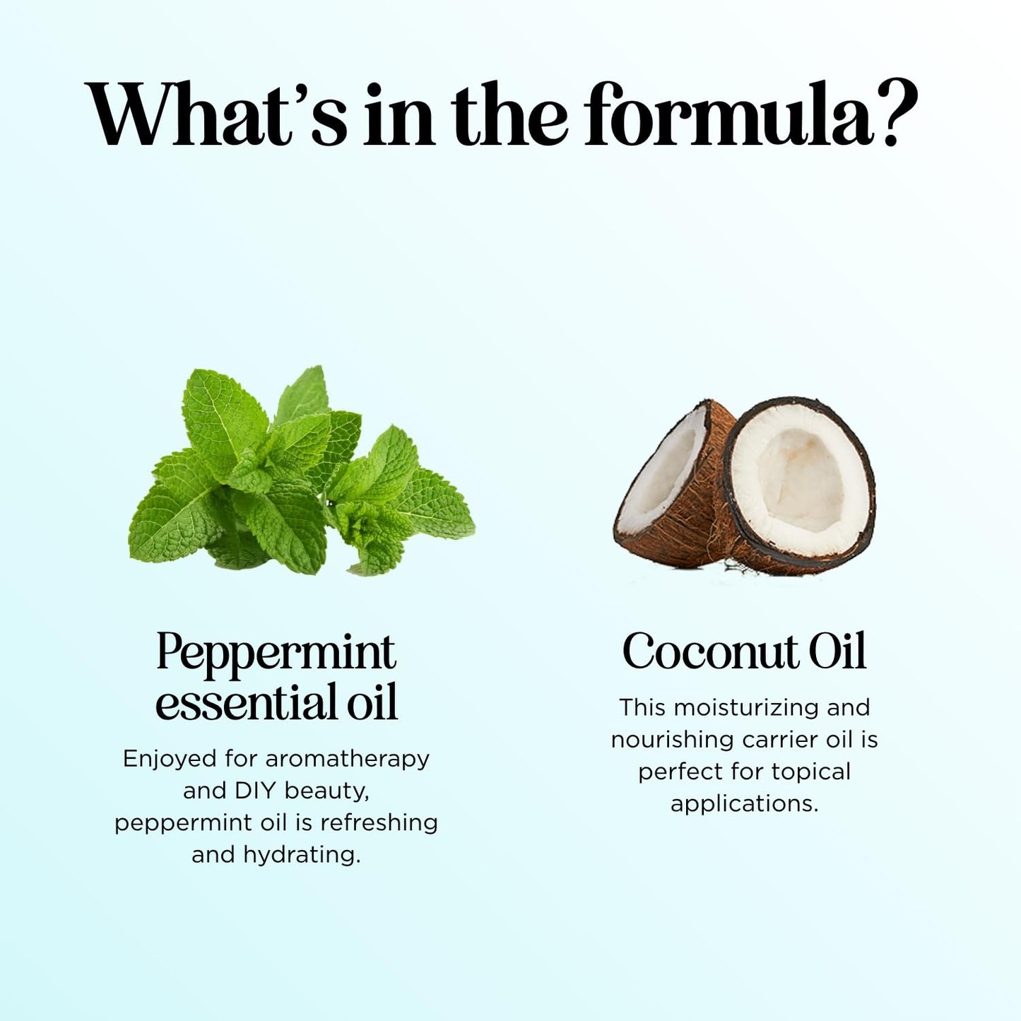 Peppermint Oil Roll On – Pure Peppermint Rollerball Essential Oil for Headaches, Focus & Energy | Maple Holistics