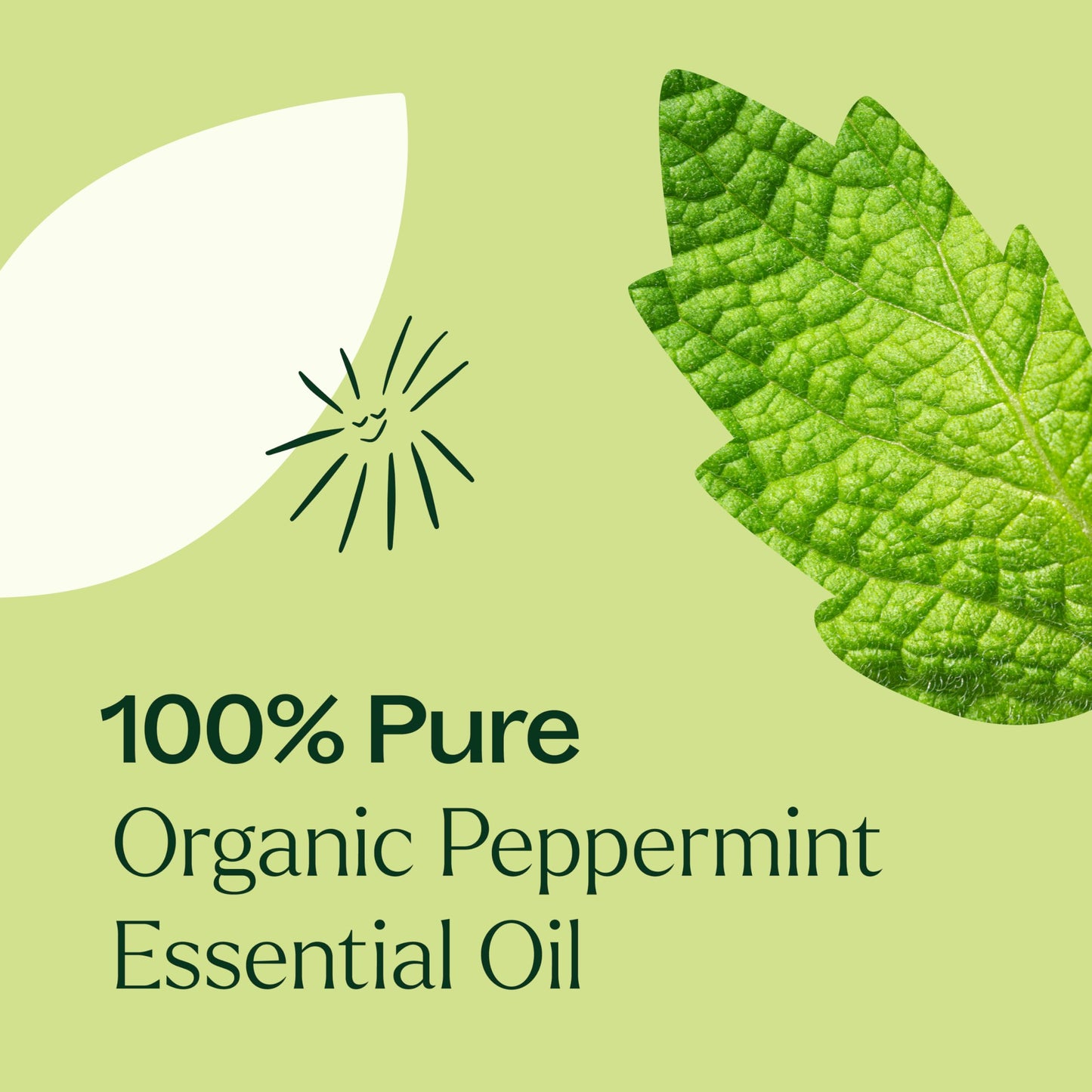 Peppermint Essential Oil – 100% Pure, USDA Organic (10 mL)