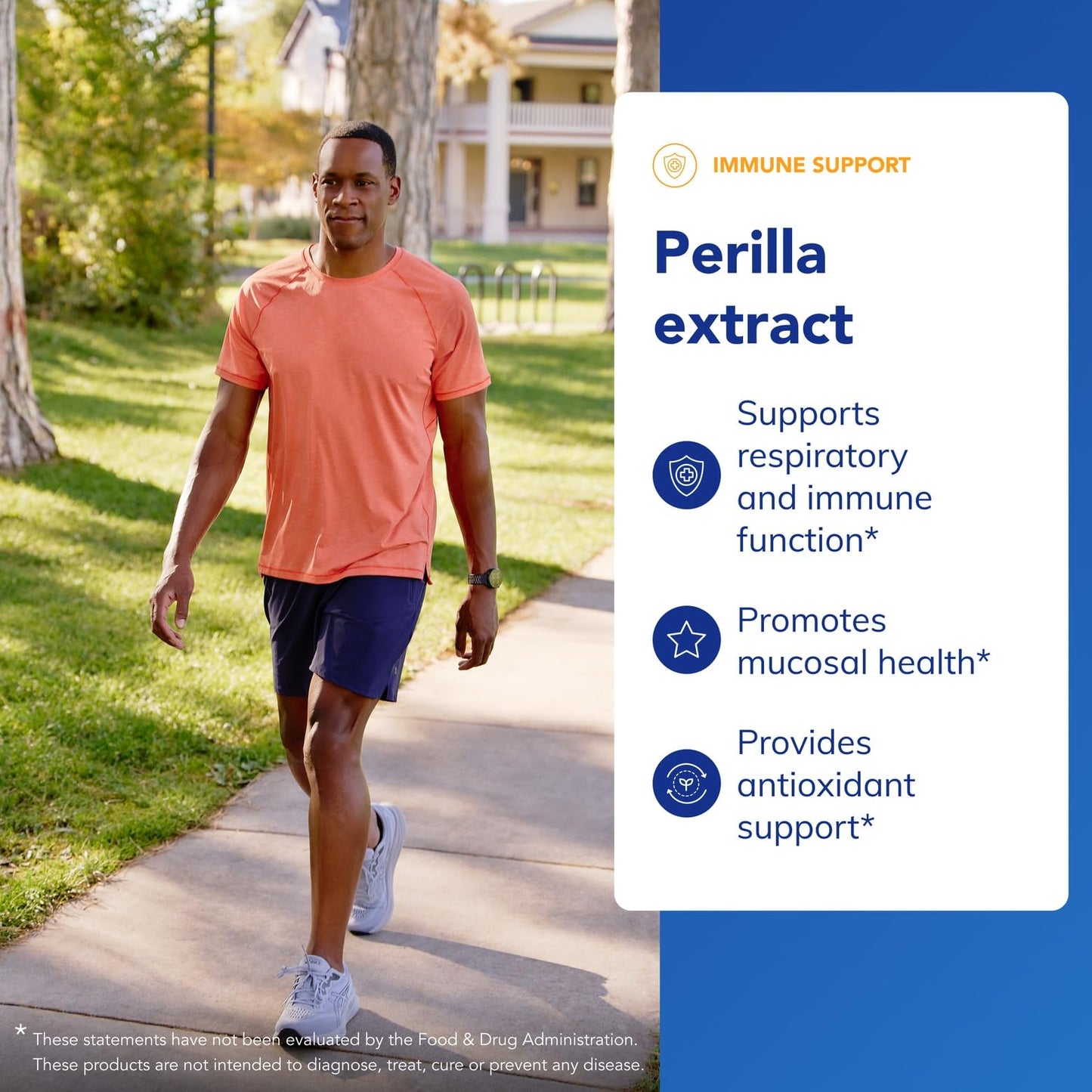 Pure Encapsulations Perilla Extract | Support for Mucosal Health & Immune Balance | 90 Capsules